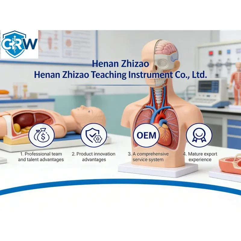 CRW Bestselling Wound Care Wound Models Bleed Control Tourniquet Trainer Simulates Wound on the Thigh Bleeding Training Kit view 5