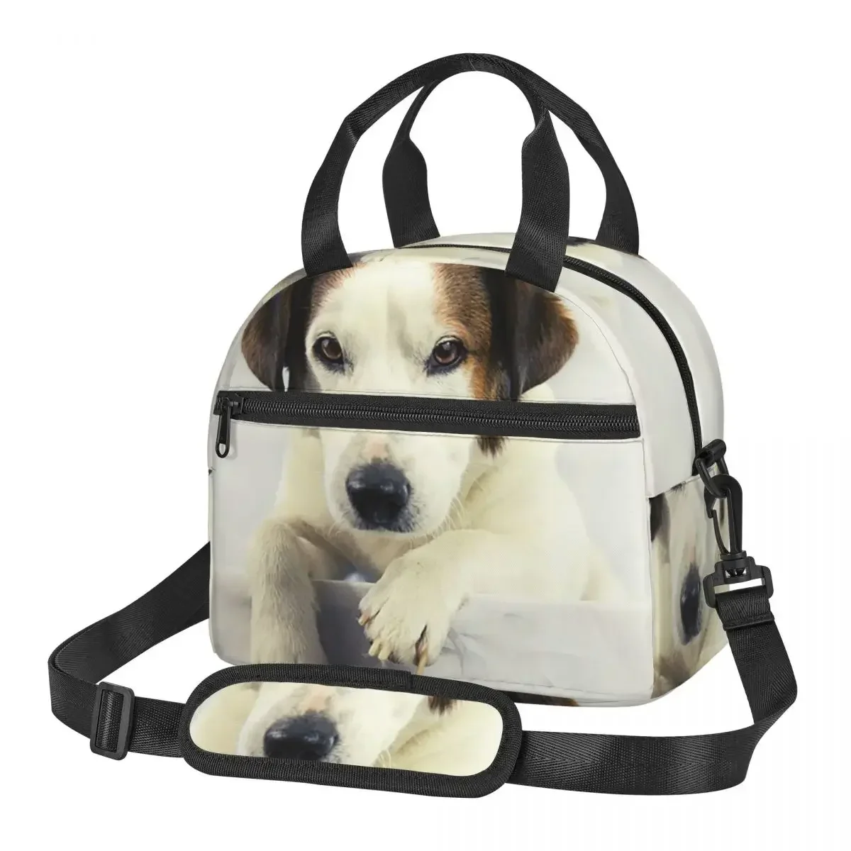 Dog Jack Russell Terrier Photo Insulated Lunch Bag for School Picnic Storage Food Boxes Portable Cooler Thermal Lunch Box Tote
