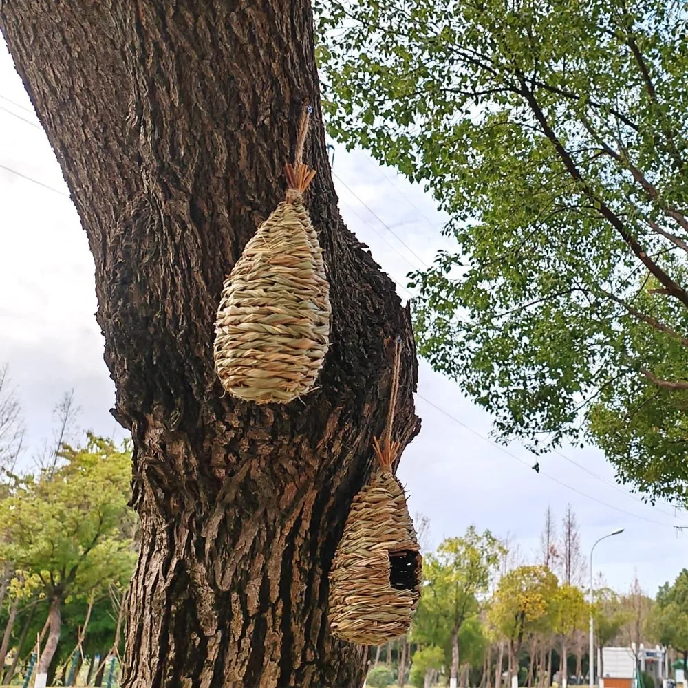 Casa de beija-flor tecida à mão, 4 unidades, 9.2x4 polegadas, cabana de pássaros e casas de beija-flor, ninho, pequena casa suspensa de pássaros e espinhas para
