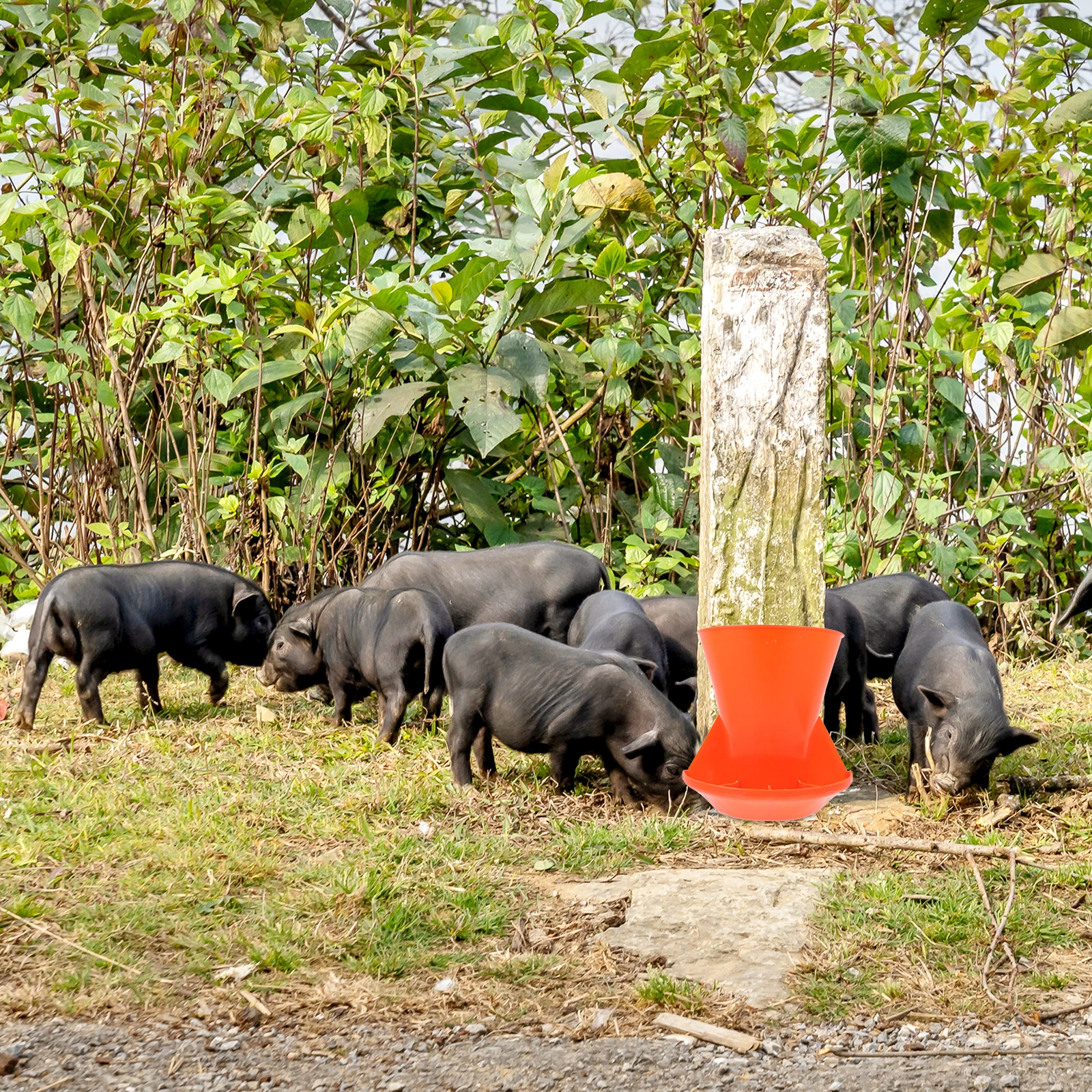 

Small Pig Supplement Feeder Thicken Plastic Compartment Trough For Farm Use Durable Livestock Manger Piglet Feed Dispenser Water