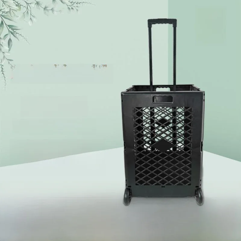 convenient-portable-shopping-cart-vegetable-buying-two-wheel-handy-little-trolley-home-use-goods-pulling-small-trailer