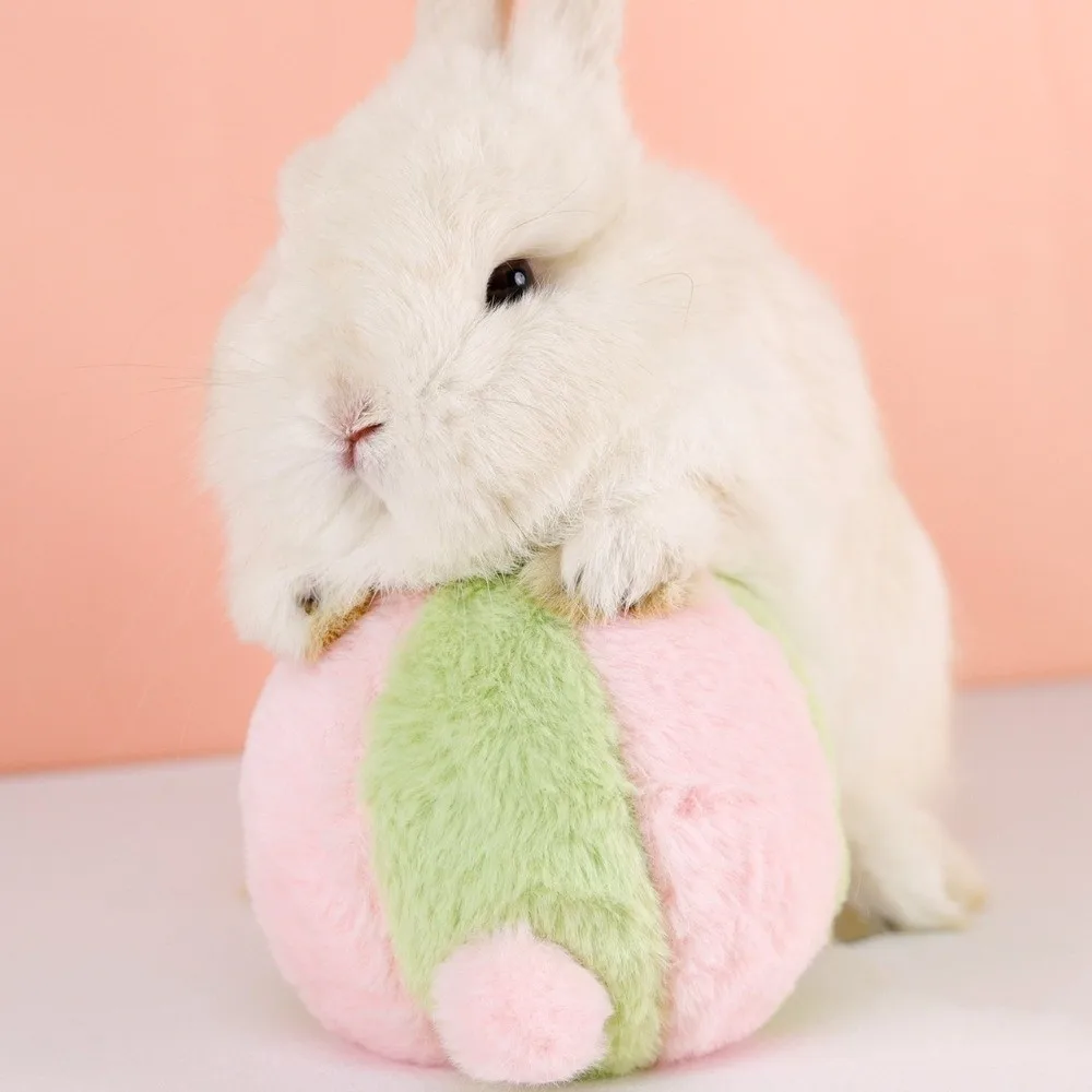 Simulated Rabbit Buttocks Rabbit Venting Ball Bite Resistant Soft Rabbit Calming Ball Comfortable Fluffy Rabbit Soothing Toy