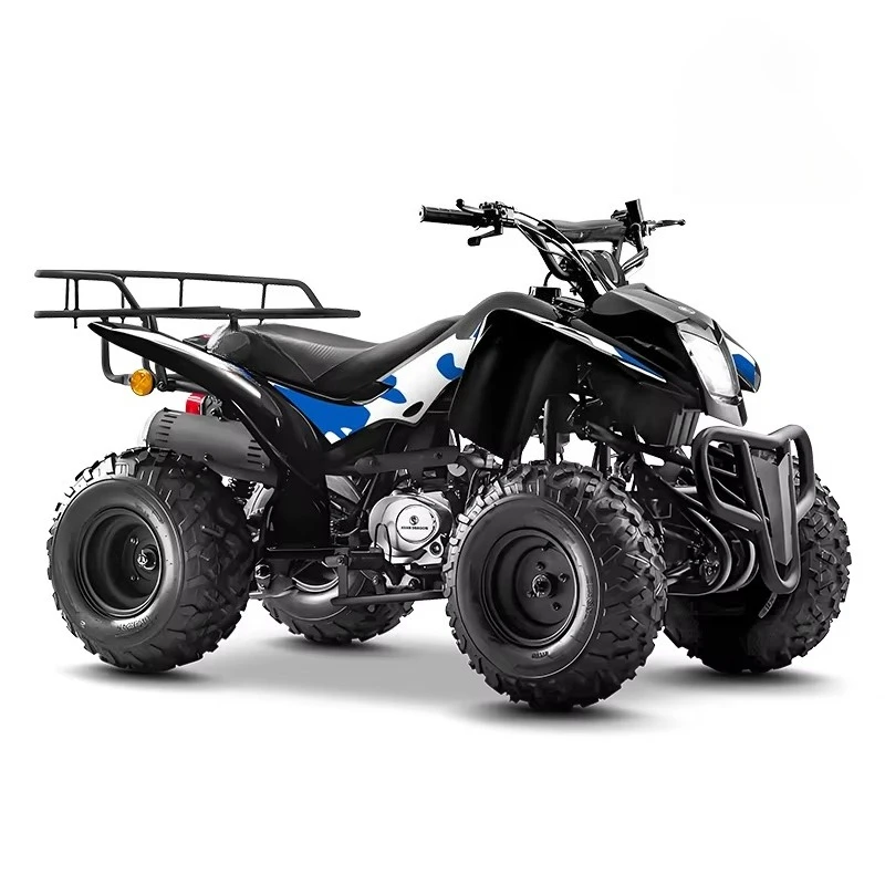 72V 3000W Electric ATV Quad Bike High Speed Off Road 4 Wheeler Farm Utility Dune Beach Buggy Adults