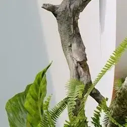 

For Bosch 18V 4800/6800/9800mAh BAT025 Rechargeable Battery Ni-CD Power Tools Bateria For Drill GSB 18 VE-2, PSR