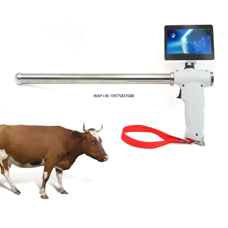 

Animal Artificial Insemination Equipment Digital AI Visual Cattle Artificial Insemination Kit