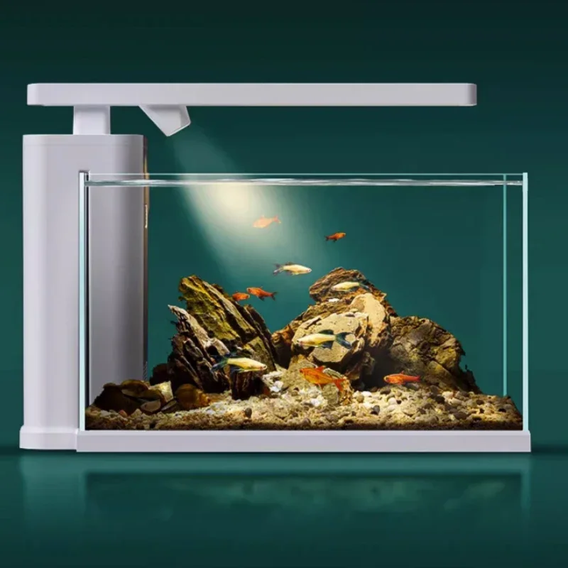 Fish Breathing Ecological Fish Tank Change Water Living Room Home Super White Desktop Cylinder Small Desktop Glass Cylinder