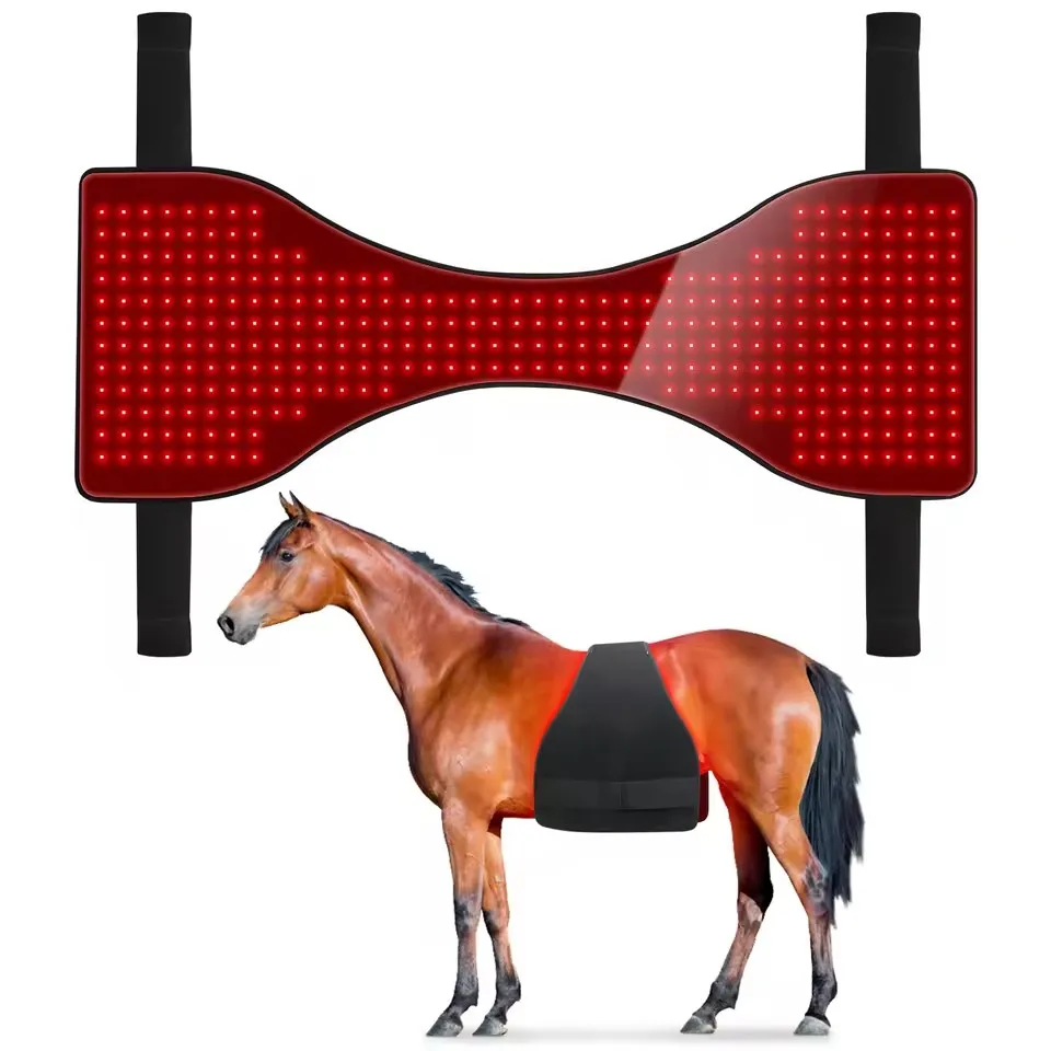 Custom Equine Red Light Therapy Blanket 660nm 850nm LED Infrared Horse Back Pad for Pain Relief and Care