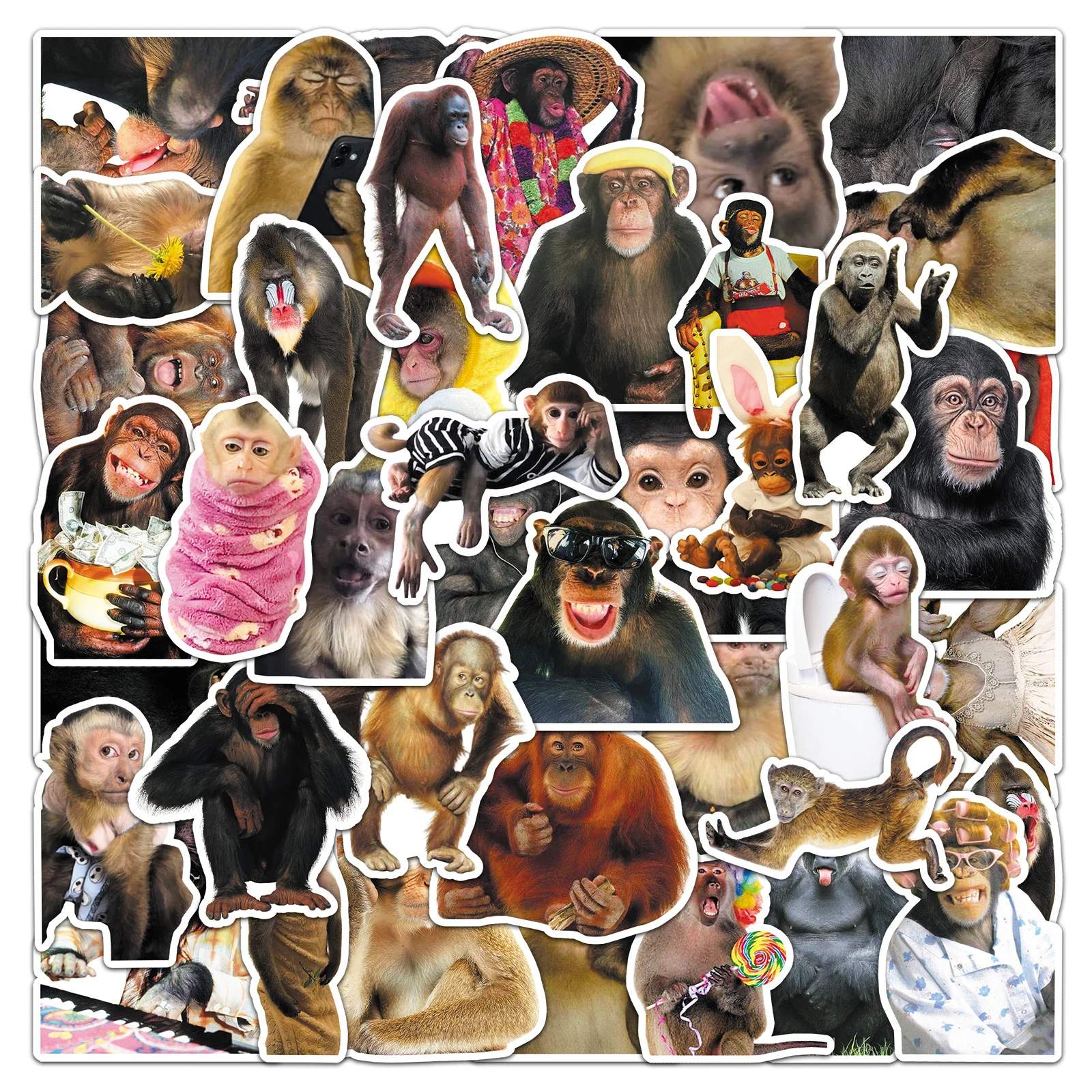 50Pcs Cute Funny Carzy Monkey Cartoon Cute Waterproof Sticker Skateboarding Retro Home Decal Sticker