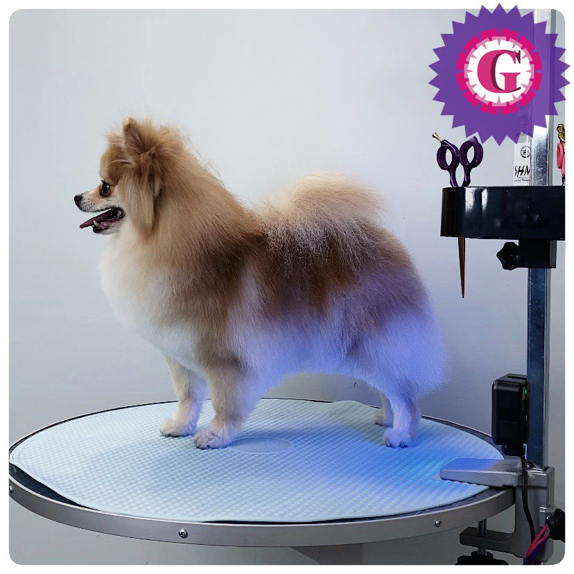 Silicone Non-Slip Pet Grooming Table Mat, Professional Competition Race, Durable and Odorless, Easy to Clean