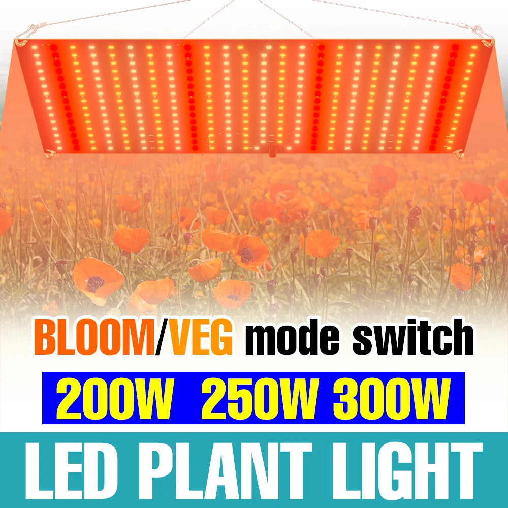 

300W LED Full Spectrum Grow Light Indoor Quantum Board Plant Fill Lamp Greenhouse Tent Vegetables Fruits Cultivation Lighting