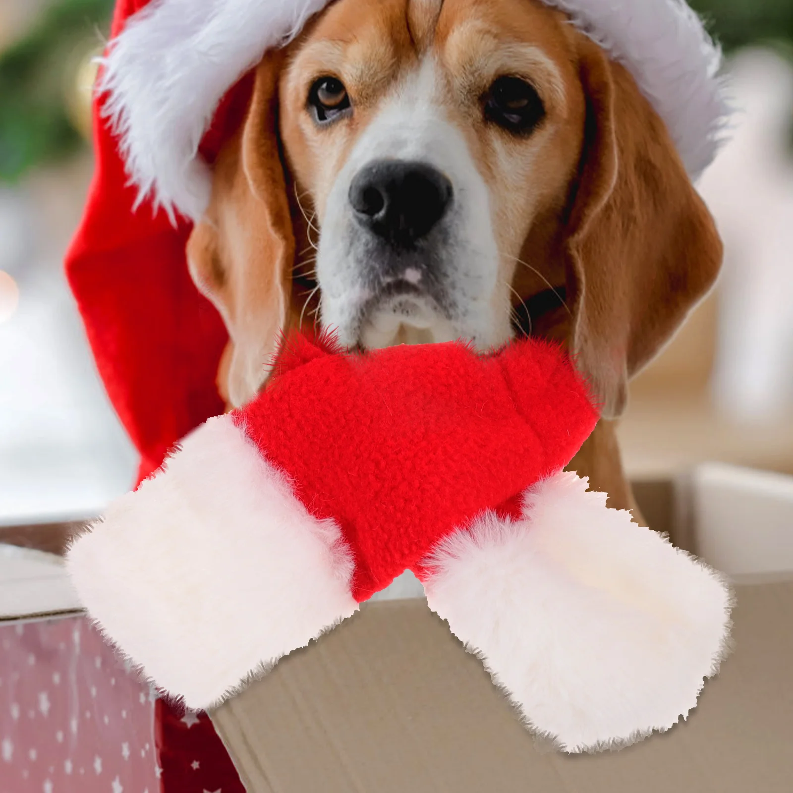 

Cute Dog Pet Hat Scarf Warm Cotton Puppy Birthday Decor Thermal Pet Head Cover Accessories Photo Shoot Dog Hats