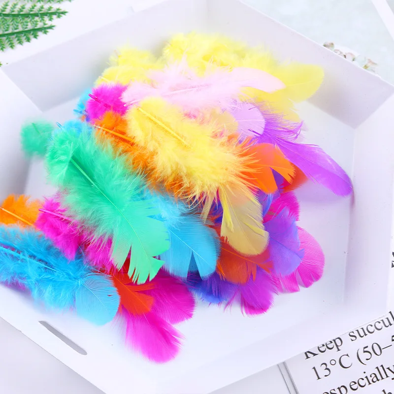 

100pcs Natural Chicken Feather 4-8cm for DIY Crafts Wedding Party Decorations Accessories Home Handmade Projects Feathers