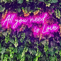 All You Need is Love Neon Signs Light for Wedding Party Home Decor Customize Neon Sign Bar Store Logo Neon Sign