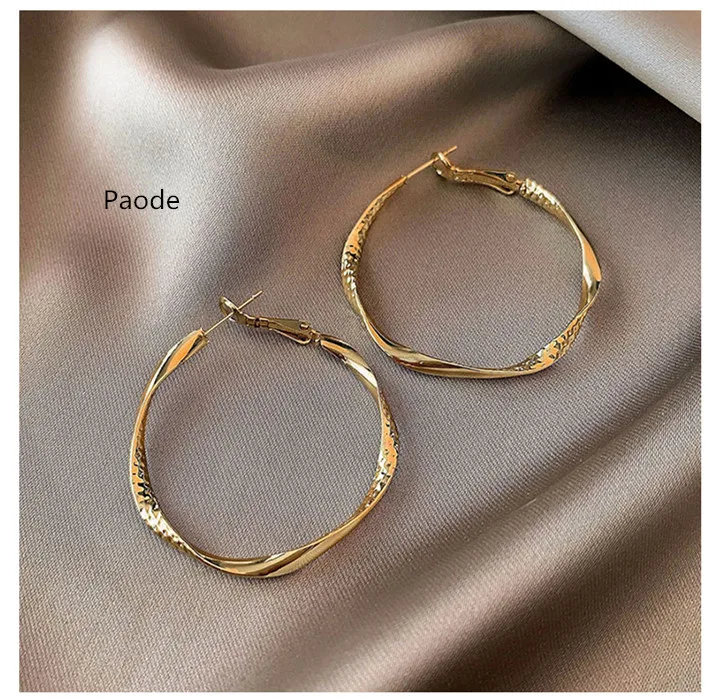 lingzhiwu-Circle Earrings for Women, Anti-Allergy, Elegant, French Influencer, Ear Decoration, New Arrival, 2024 Fashion