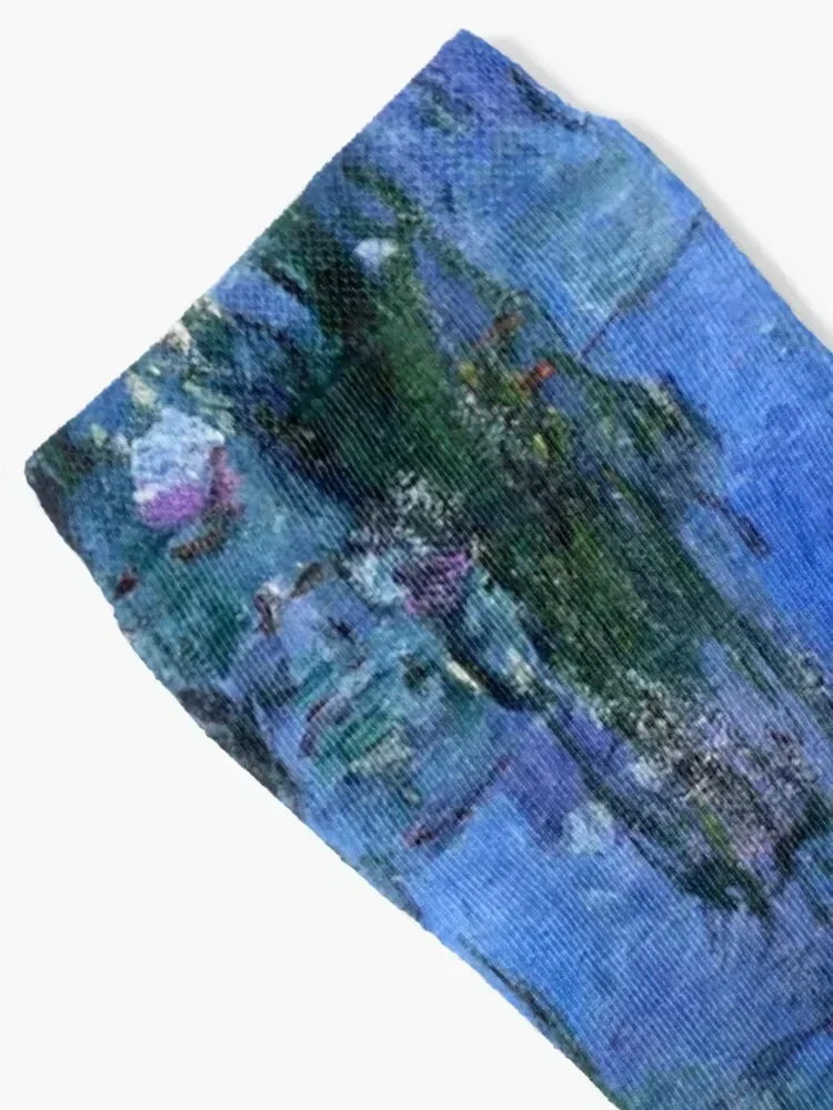 Water Lilies Monet vibrant blue Socks luxe essential football christmass gift Socks Woman Men's
