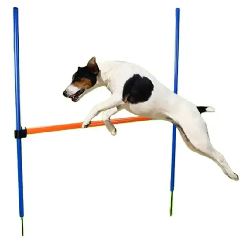 Outdoor Plastic Pet Agility Training Equipment for Dogs Hurdle Jump for Dog Park Training