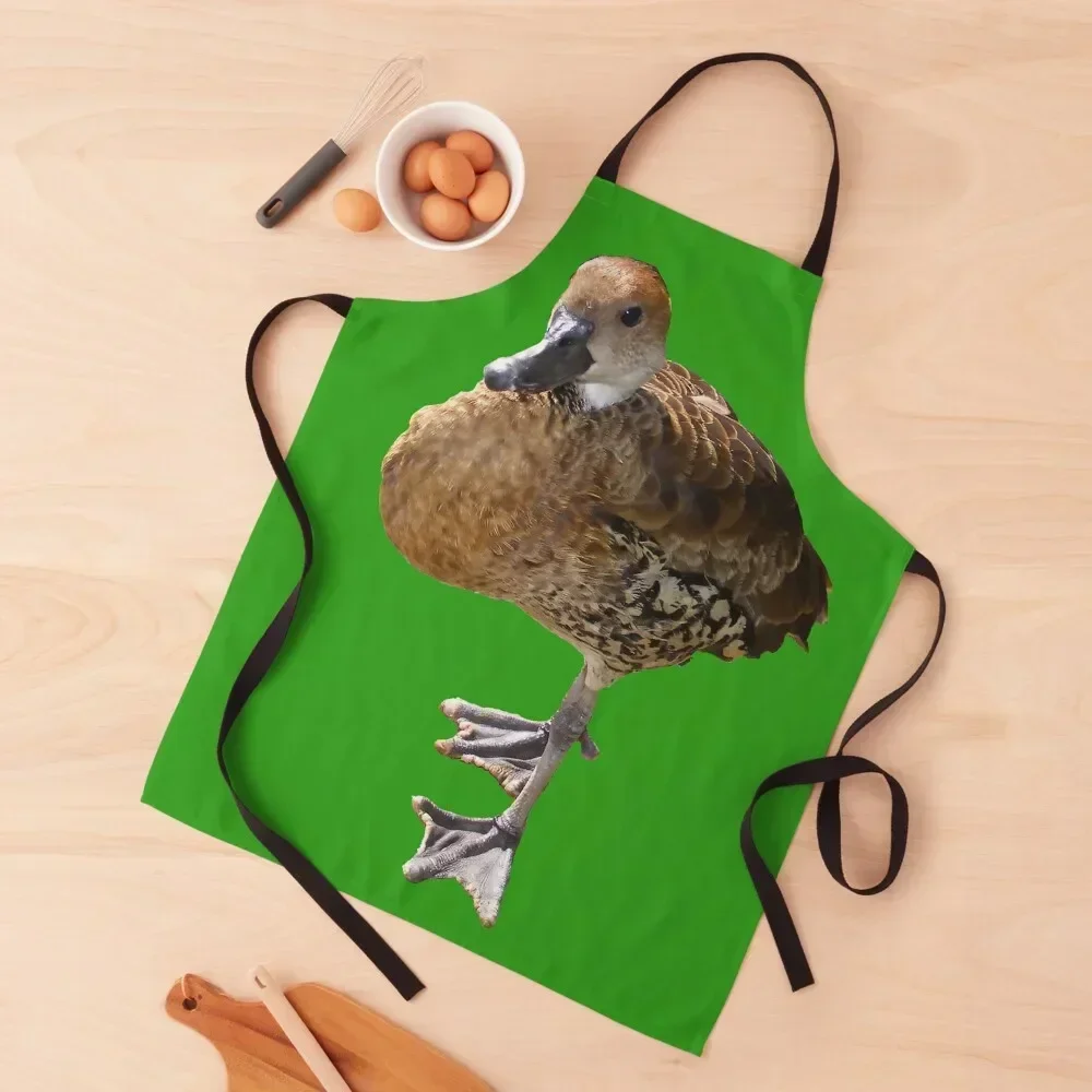 

Watch Out Duck! Apron Chef Uniform Camping Kitchen Things And For Home Apron