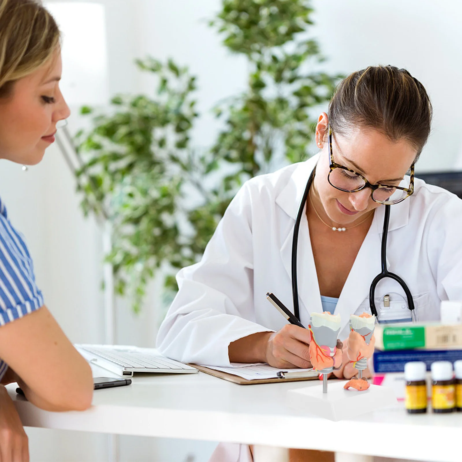 Model Patologi Tiroid Model Pengajaran Model Anatomi Model Sistem Endokrin Model Patologi Plastik Model Tiroid Plastik