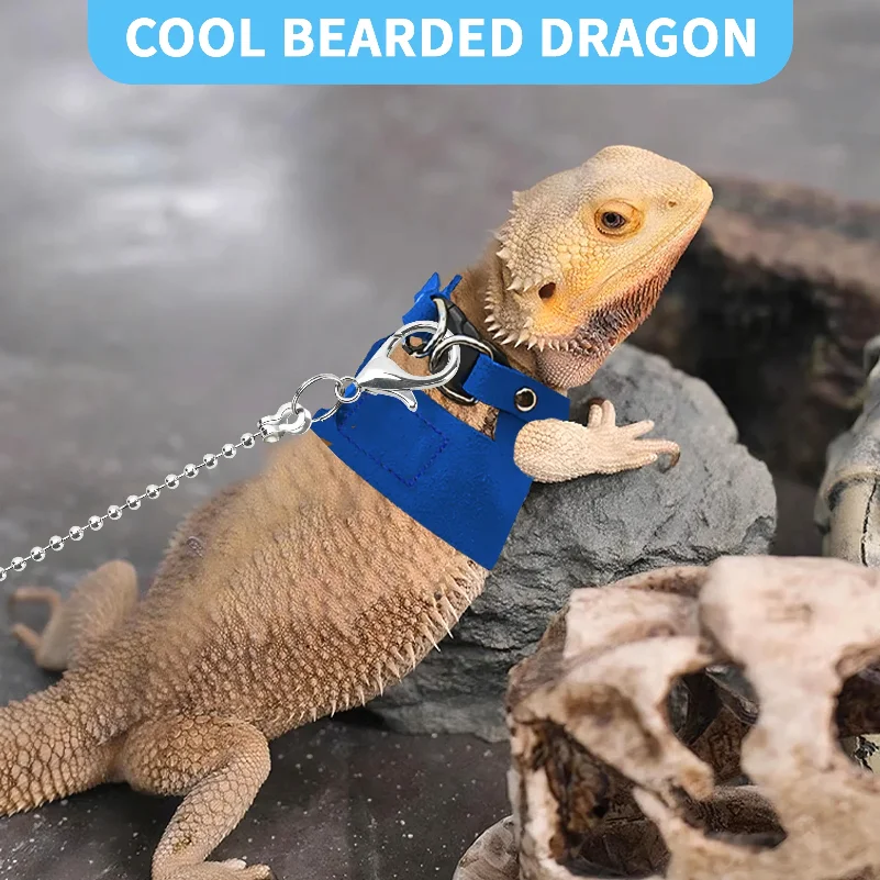 3-in-1 Bearded Dragon Leash Set: 6.5FT Leash + 3 Adjustable Soft Harnesses for Lizard, Squirrel, Reptile