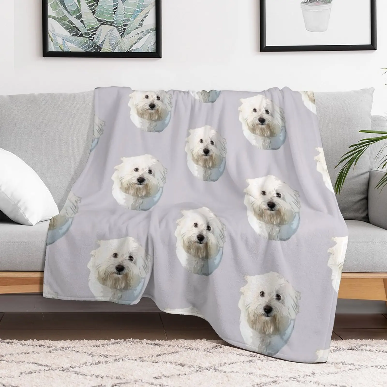 Coton De Tulear Throw Blanket Furrys For Decorative Sofa Blankets