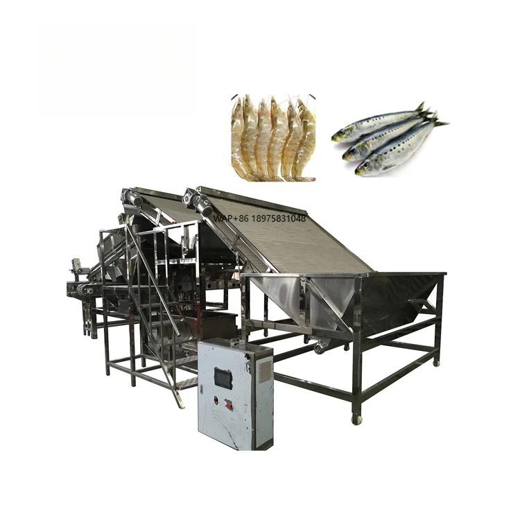 China Walley PLC Motor Gear Shrimp Prawn Anchovy Grading Food Processing Machine