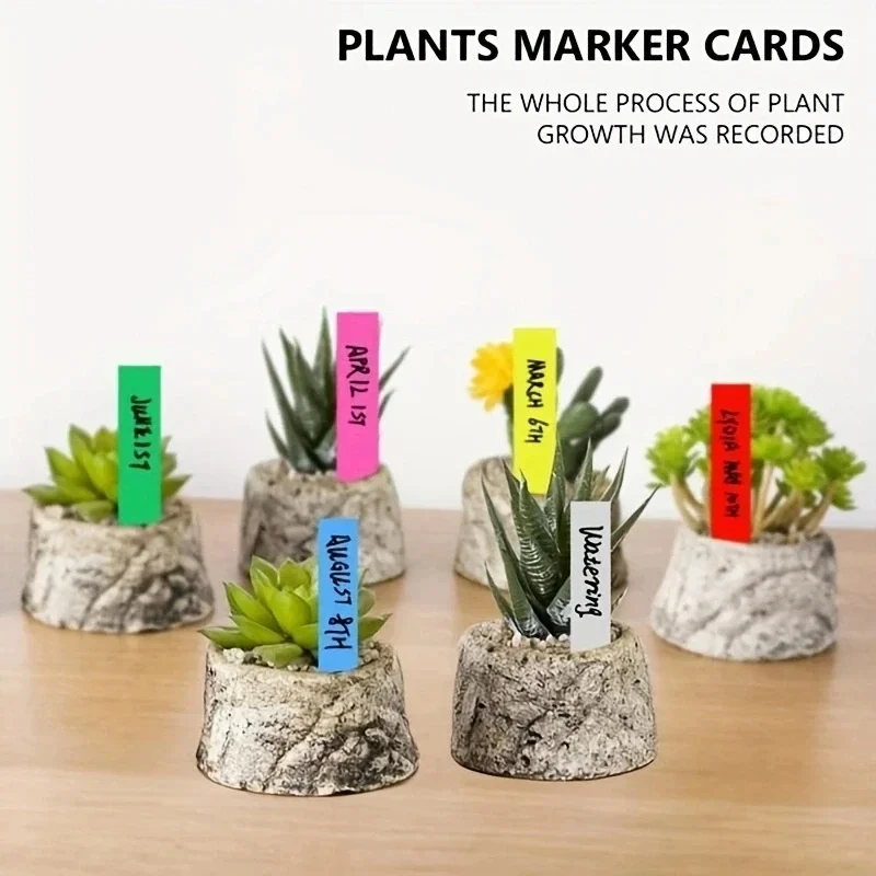 100pcs Pvc Plastic Waterproof Horticultural Flower Label One Word Label Insert Plate Plant Succulent Orchid Label Insert Plate