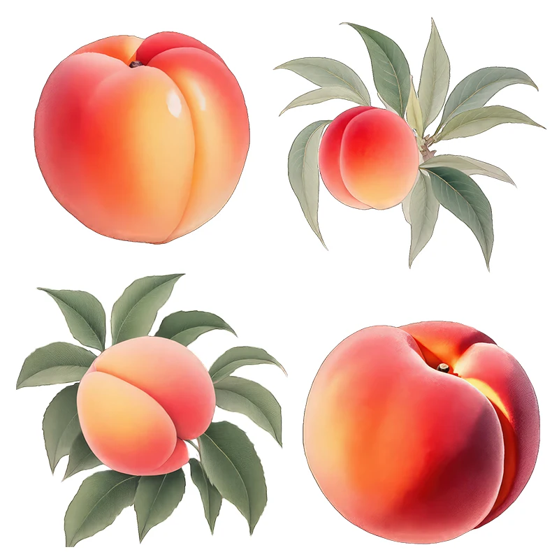 Three Ratels CFN62 Cartoon Peach Fruit Wall Stickers for Home Decoration