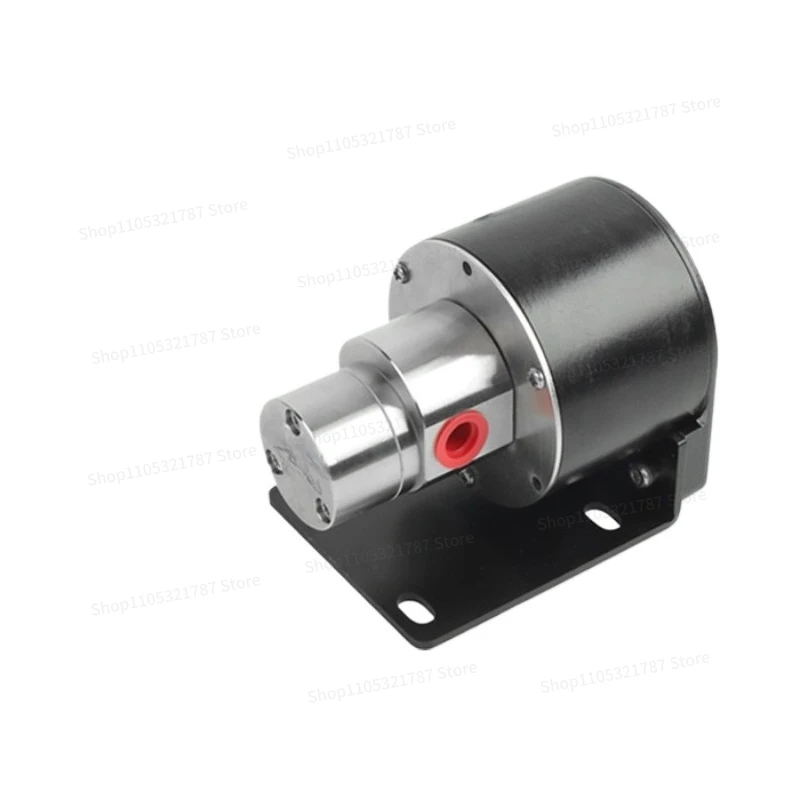 Miniature Metering Self-priming Printing Stainless Steel Diesel Extraction Coffee Machine Inkjet Printer Magnetic Drive Gear
