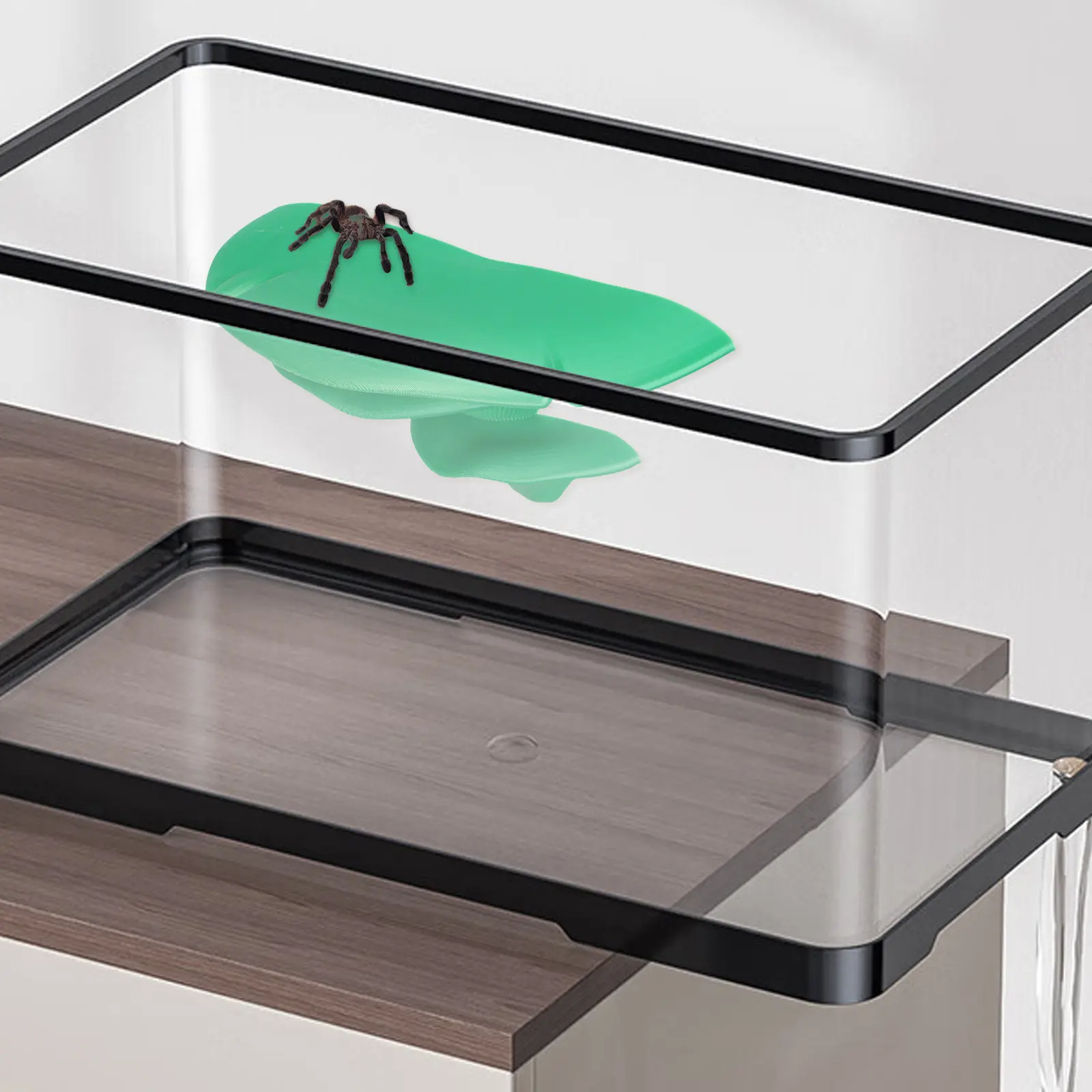 Jumping Spider Enclosure Mushroom Shelf Green Stable Suction Cup Climbing Platform Feeding Natural Habitat Decor