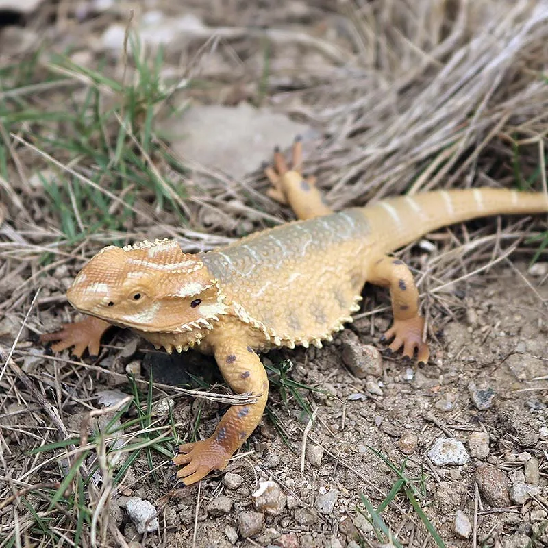 Oenux Neue Simulation Wilde Reptil Tiere Action-figuren Eidechse Modell Figuren Kinder Bildung Kognitive Szene Dekoration Spielzeug – Detail 20