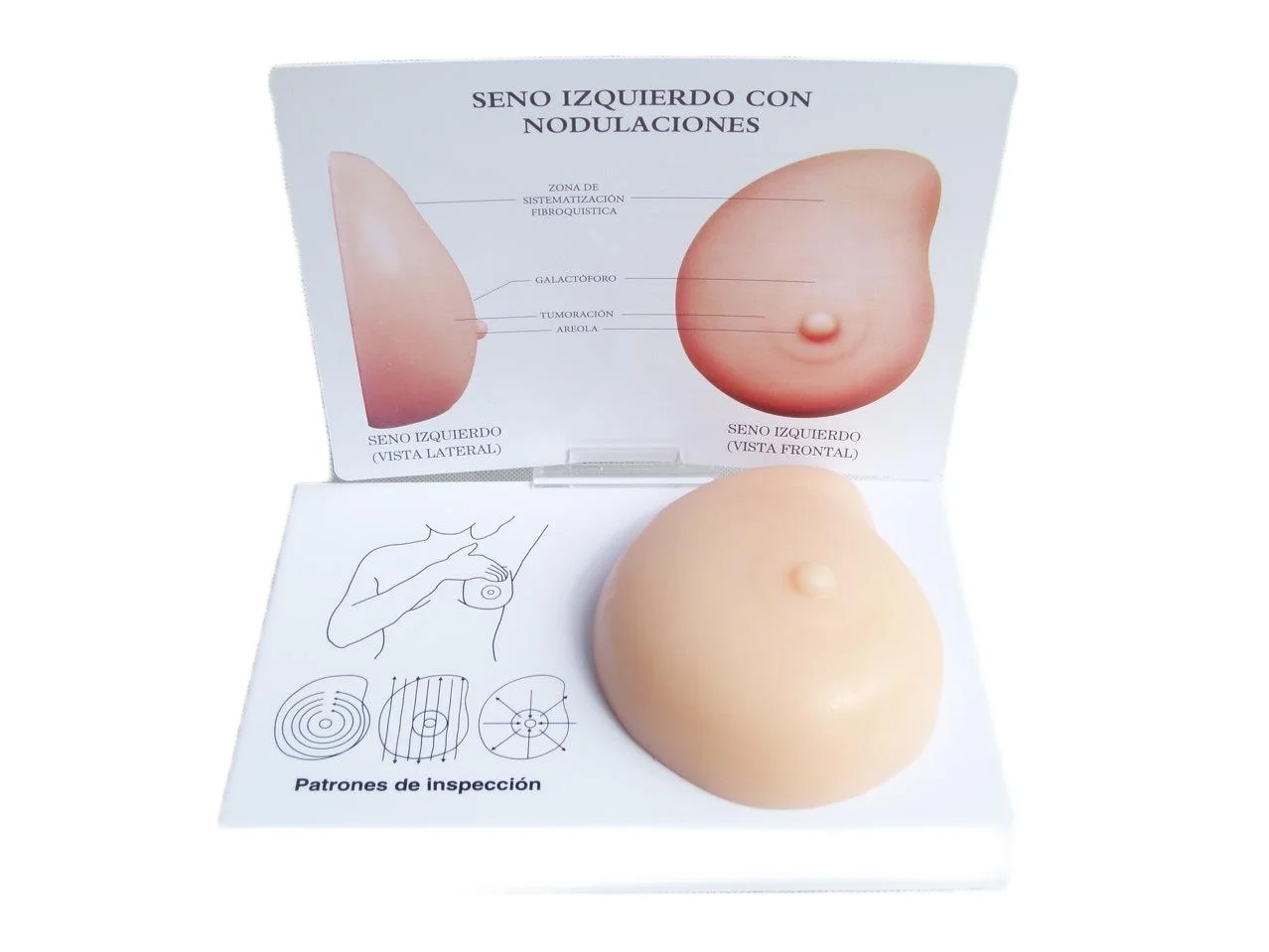Breast Self Examination Model Silicone Breast Palpation Training Model Human Tissue Structure Teaching Display Model