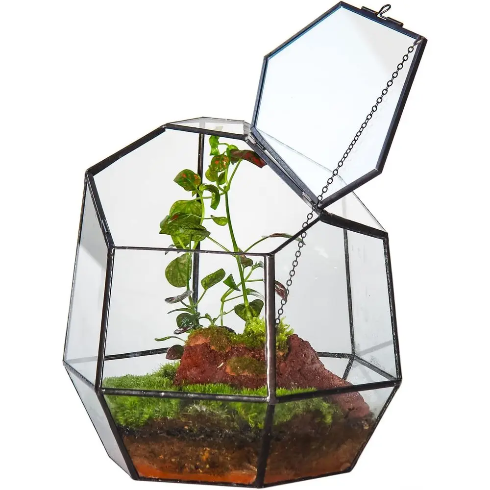 

Геометрический террариум ручной работы 7,5 дюймов с дверцей, черный, из нерегулярного стекла, для суккулентов и кактусов, для дома