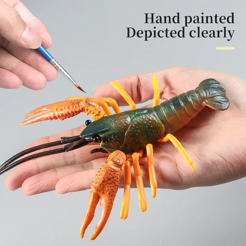 Zabawka symulacyjna dla dzieci - zwierzęta morskie - krab, homar, modele życia morskiego, figurki kolekcjonerskie, zabawka edukacyjna