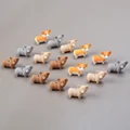 Corgi Solid