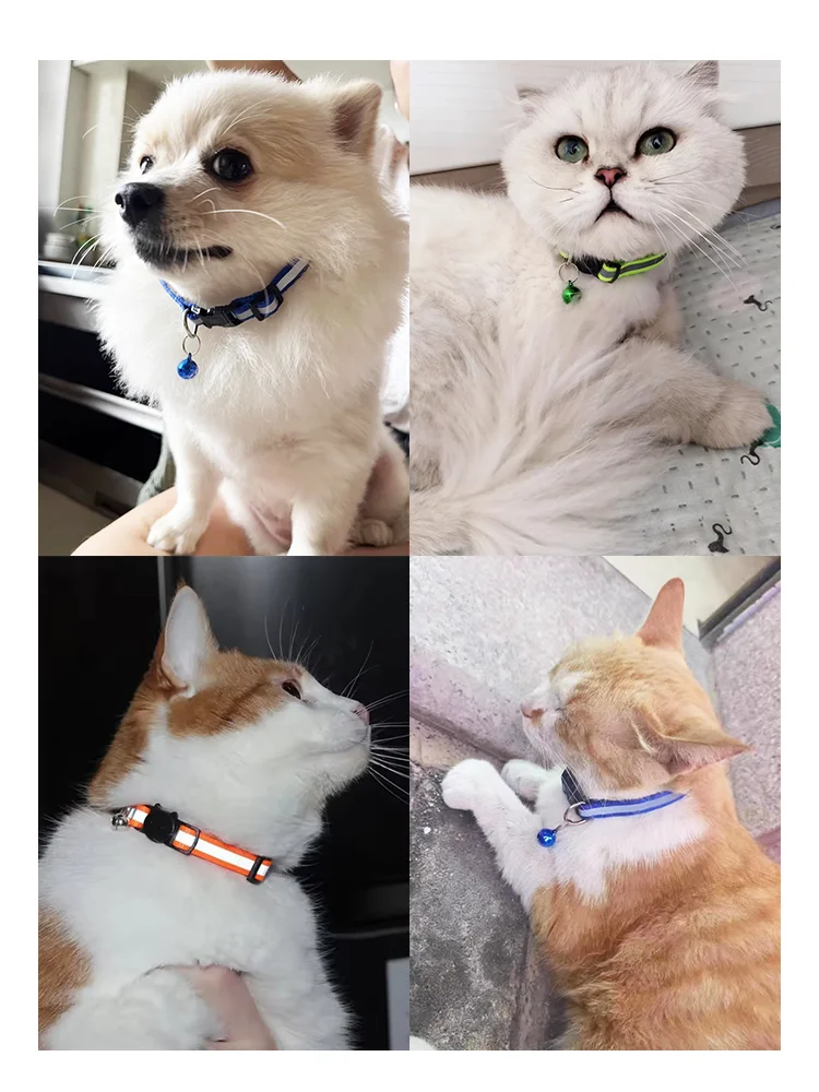 Reflektierendes Haustierhalsband mit Cartoon-Katzenkopf, bunte Glocke, verstellbarer Sicherheits-Halsgurt, modisches Haustierhalsband für Kätzchen, Welpen, kleine Hunde – Detail 7