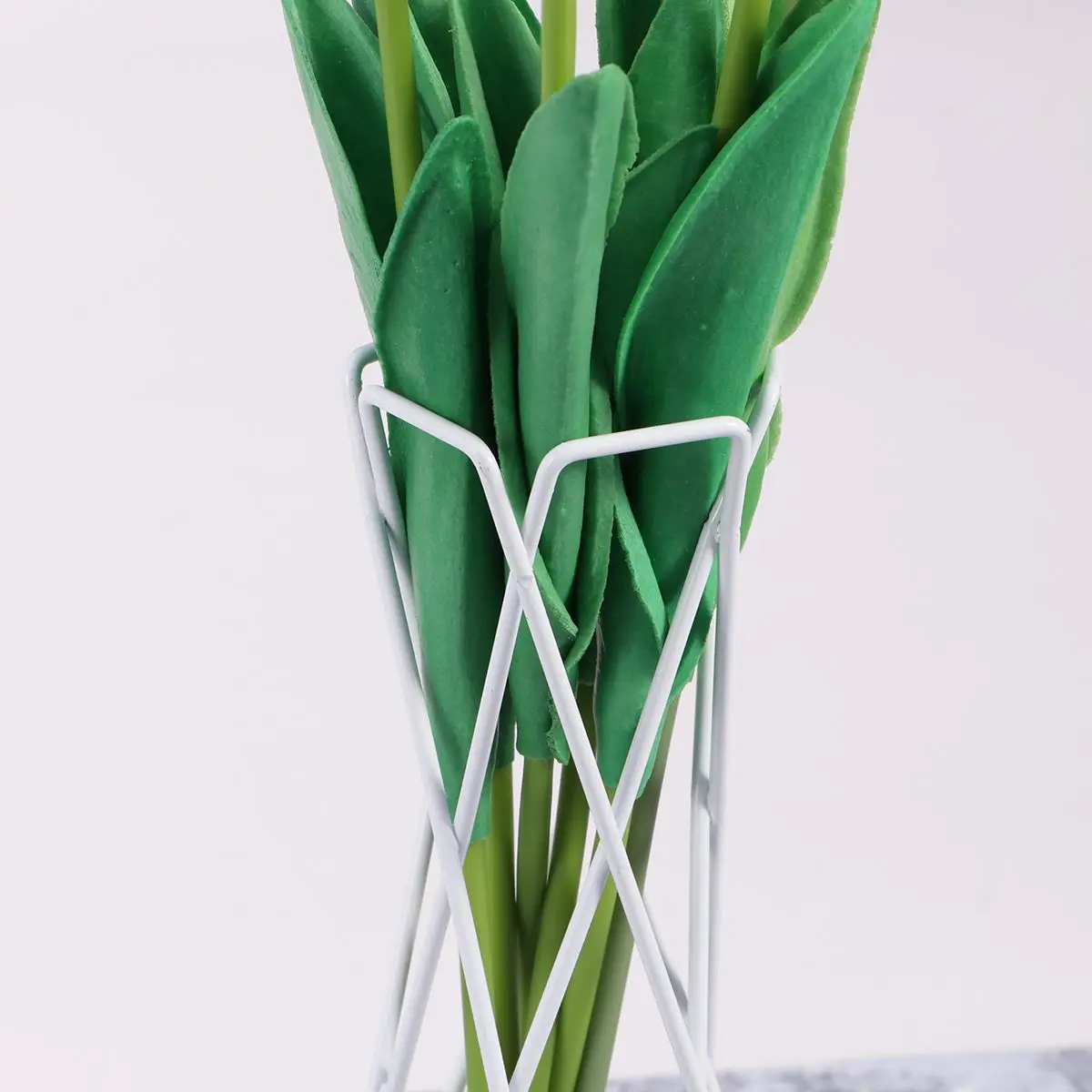 Iron Bracket Air Plant Display Stand Container Pineapple Vase Tillandsia Holder Durable Metal Desktop Balcony Office Garden