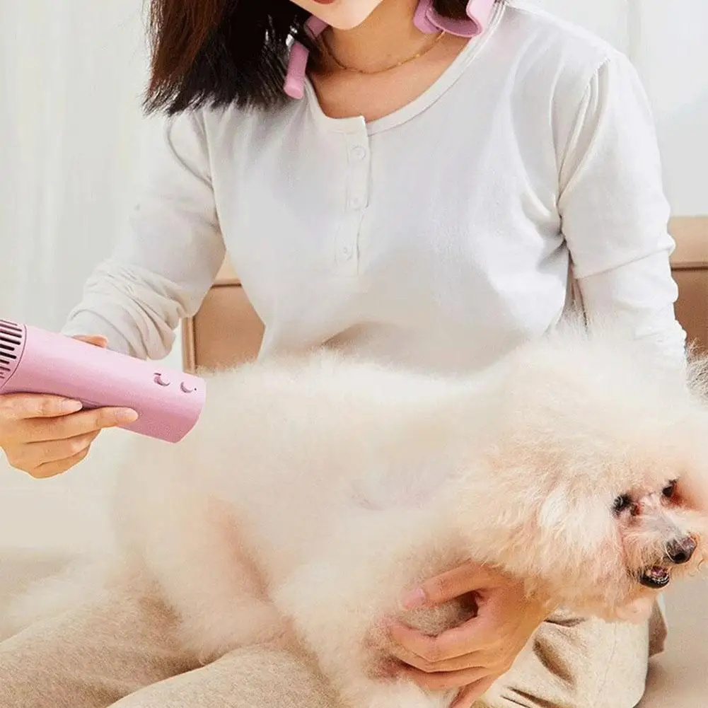 High-power Negative Ion Pet Hair Dryer Silent Beauty Bristles Quick Blowing Hanging Neck For Cats And Dogs Beauty Universal