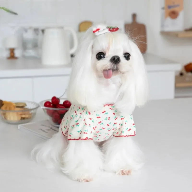 Cute Pet Winter Cherry Basecoat Dog Home Cute Cherry Pet Clothing Dog T-shirt Pet Clothing Teddy Clothing Designer Puppy Clothes