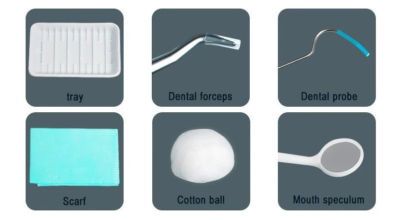 

Medical Disposable Plastic Tray Probe Kit Surgical Instrument Set Disposable Examination Kits