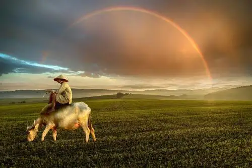 

Модуль SKYZONE SteadyView X FPV: приемник IPS-экрана 5,8 ГГц, высокая чувствительность + контроль дальности — для SKY04X/04O PRO