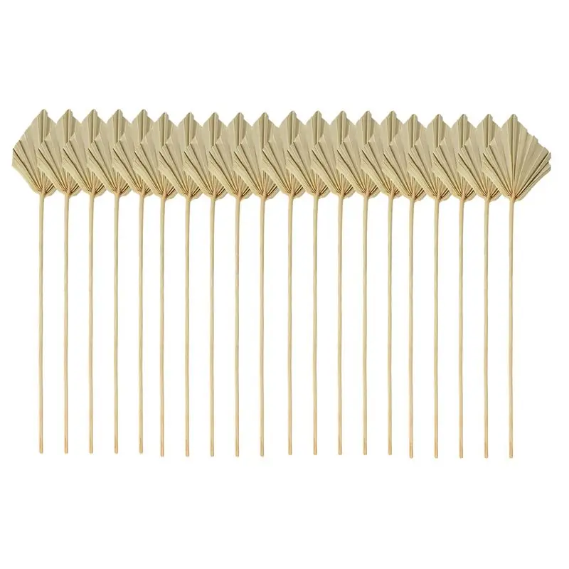 ABYN-Boho Dried Palm Spears Sm - Palm Leaf Dried review and price