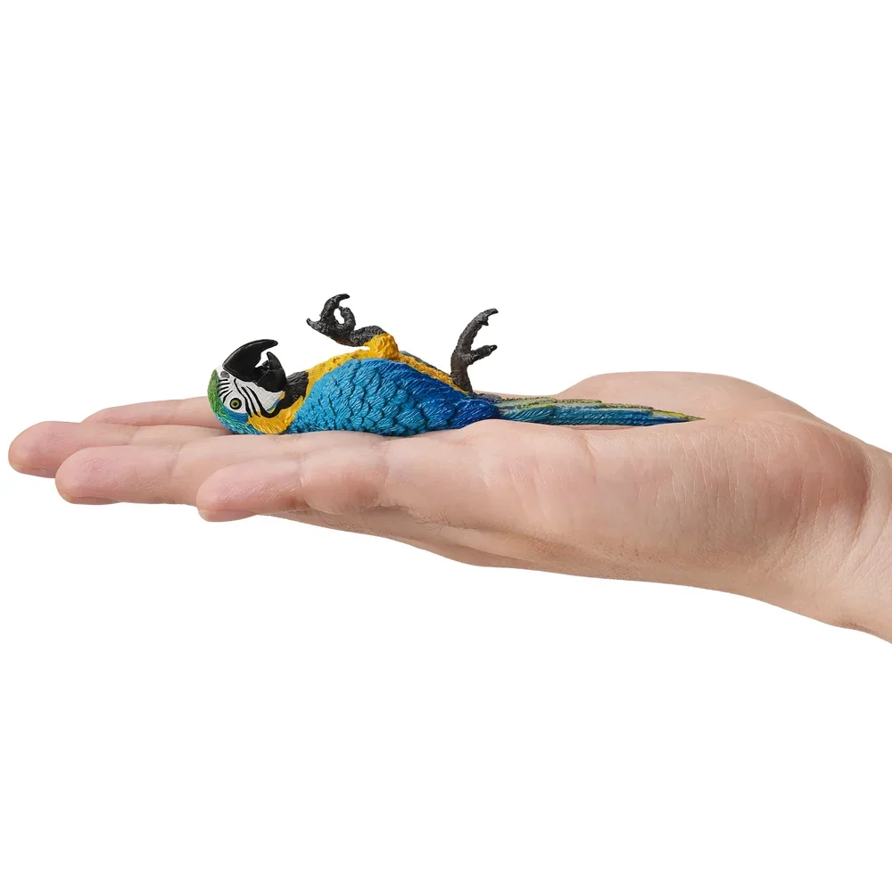 Toymany, modelo de animal de la fauna silvestre, arapaima azul y amarillo, juguete de simulación, miniaturas, muñecas, figuras de acción, juguetes, regalo para niños.