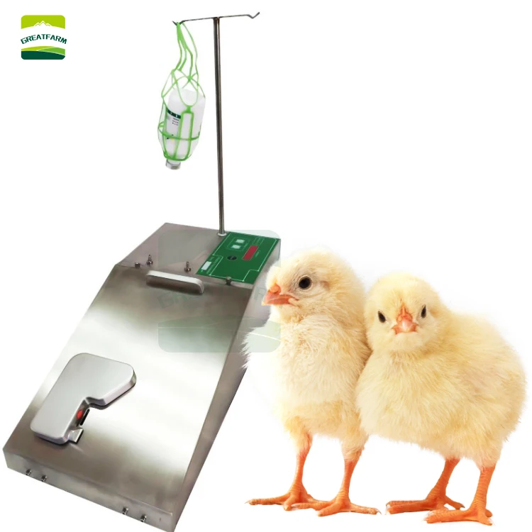 

Automatic Chick Vaccine Machine For Day-Old Chicks In Poultry Farm Great Farm Syringe Vaccination Machine Diagnosis Properties