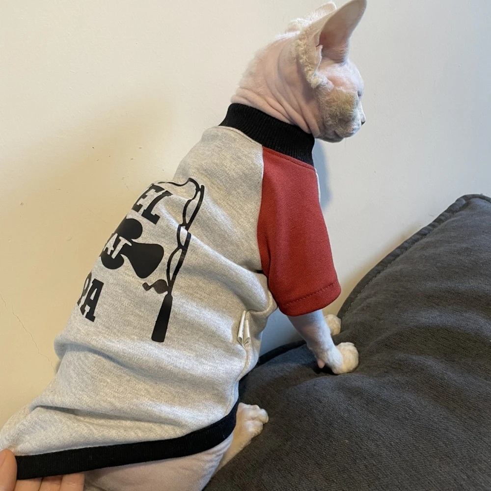 Sphynx Cat Clothing Winter Fashion Cartoon Sweatshirt for Male Cats soft Grey Cotton Coat for Devon Rex Warm Costume for Kittens