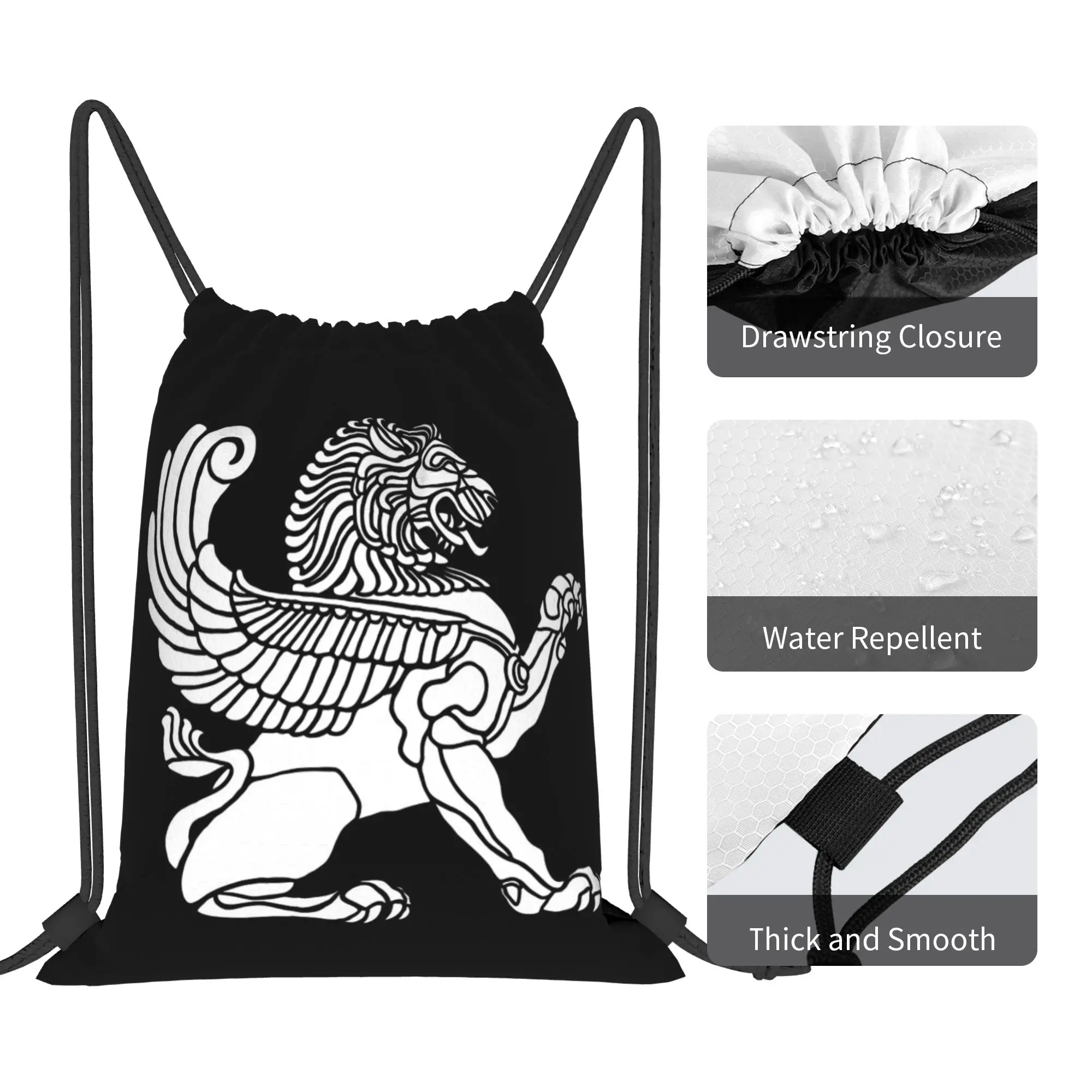 Persian Lion Iranian Iran Persia Symbolism Drawstring Backpack Gym Sports Sackpack Water Resistant  String Bag for Hiking view 4