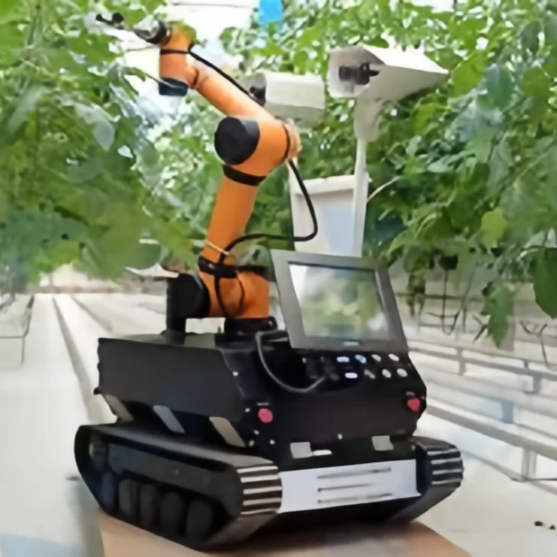 

Customized automatic identification is widely used in fruit and vegetable harvesting robots, tomato harvesters