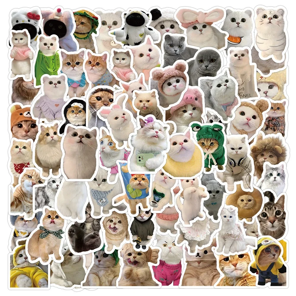 100PCS Cute Cartoon Realistic Cute Pet Kitten Waterproof Stickers For Hand Account Pencil Case Decals BulingBulingStickers Store