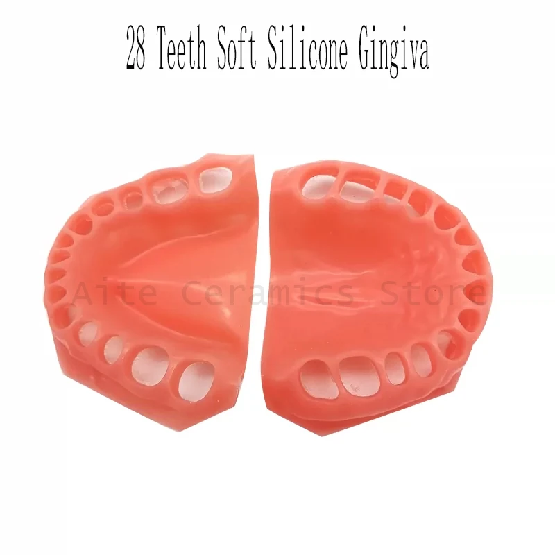 28 Teeth Soft Silicone Gingiva Dental Training Gum Silicone Teeth Dental Model Replacement Simulation Gingiva for Students