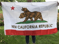 SKY FLAG New California flag 90X150cm double side printed polyester hanging New California Republic Flag For Decoration