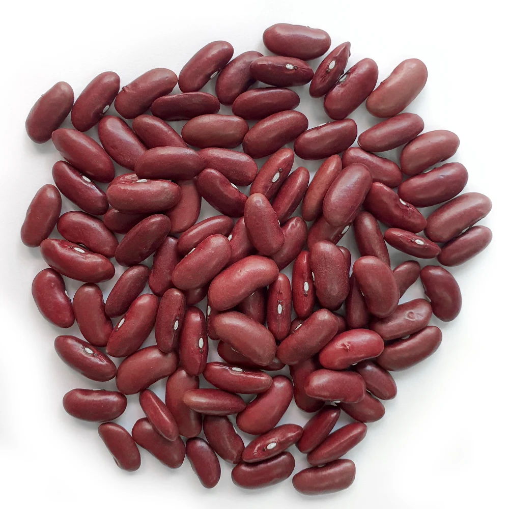 دوكدو لوف فاصوليا الكلى الحمراء 2 كيلو 1 كيس
